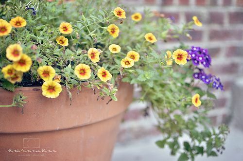 ����������¾��ã��������� (10)