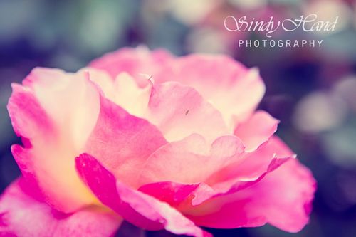 �����ж�����ǽ�赲���ܻ���һ����������������� (3)