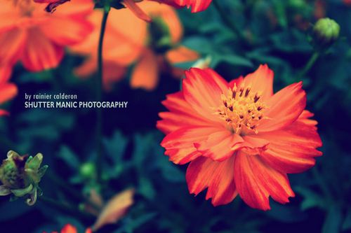 �����ھ;���ʧ��������δ����ôԶ�����ô�� (9)