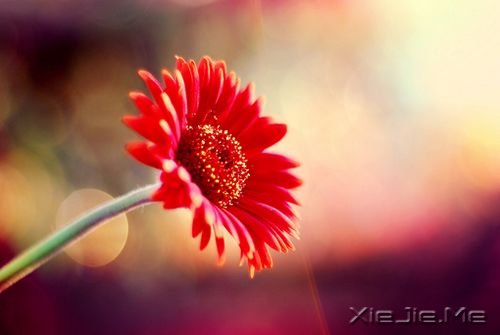 �����ھ;���ʧ��������δ����ôԶ�����ô�� (1)