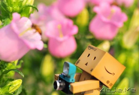 �������򾲶����ݣ�����ݶ�����