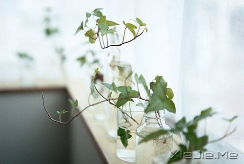 �������ϵĳ���������ǰ�� (9)