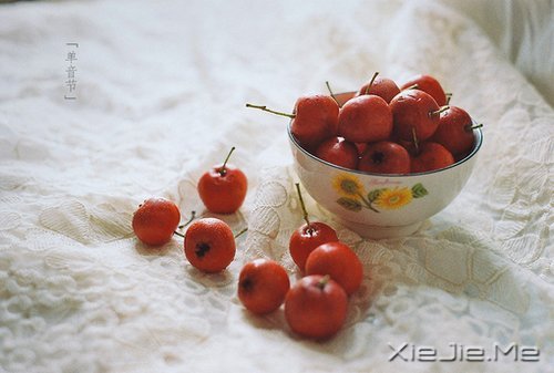 ����������������� (2)