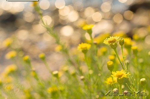 һ��һ�⣬������������������� (4)