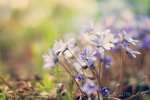 ������ʵ���Լ���������õ� (2)