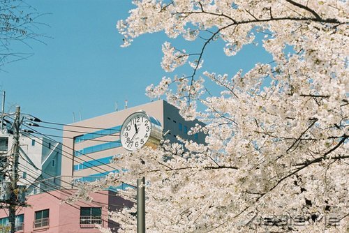 无论发生什么,先善待自己 (9)