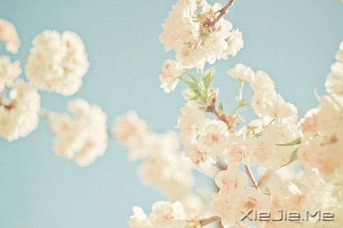 ˽���ɣ�����һ���� (6)