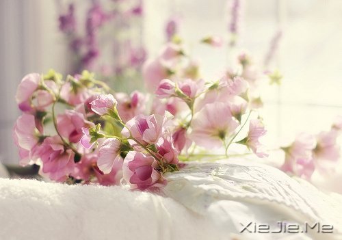 ���Լ��ķ羰�����Լ������� (3)