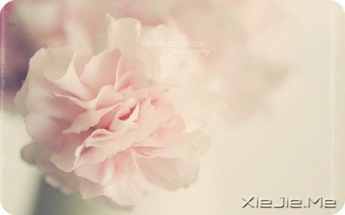 ���Լ��ķ羰�����Լ������� (6)