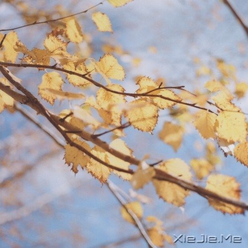 爱自己的人,才会有人爱 (5)