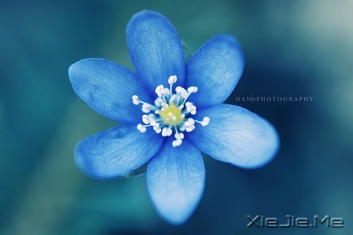 ��Ȼһ�У��������� (1)