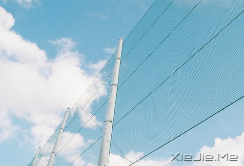 越努力,越幸运 (6)