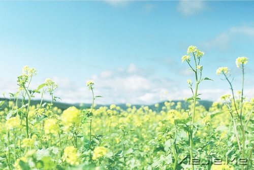 越努力,越幸运 (7)