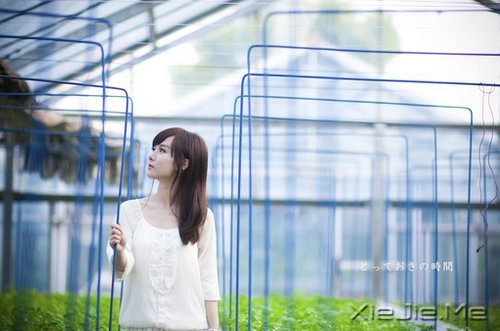 喜欢发呆的人,心里都有一份纯净的天空 (2)