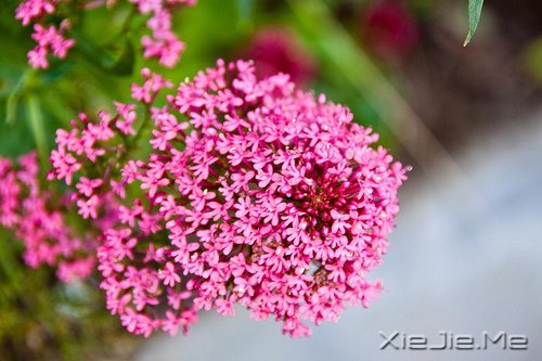 �����������������������Į (1)