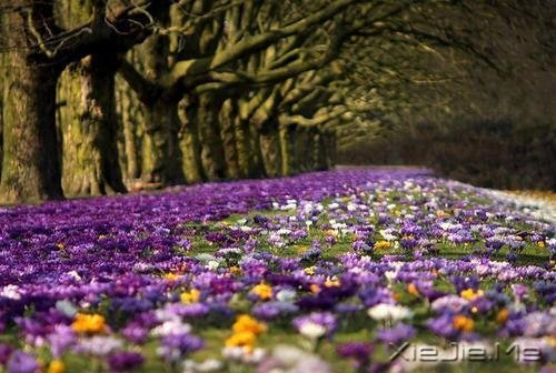 幸福应该是来得巧,而不是来得多 (6)