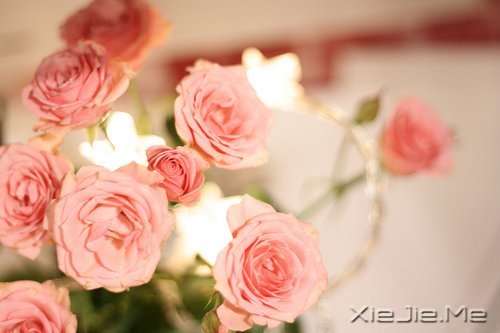 幸福应该是来得巧,而不是来得多 (8)