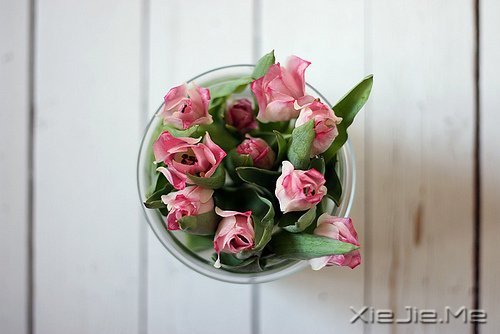 һ�����¹¶����������¹��� (2)