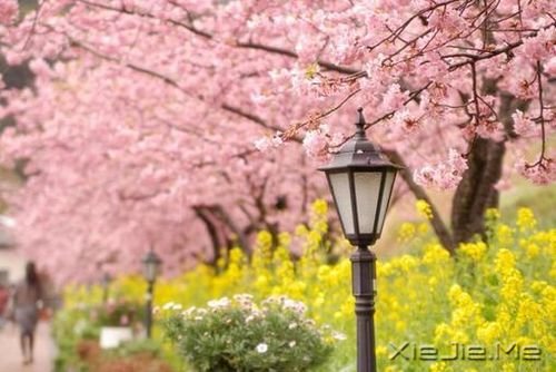 һ·�ж�����������ϧ (7)