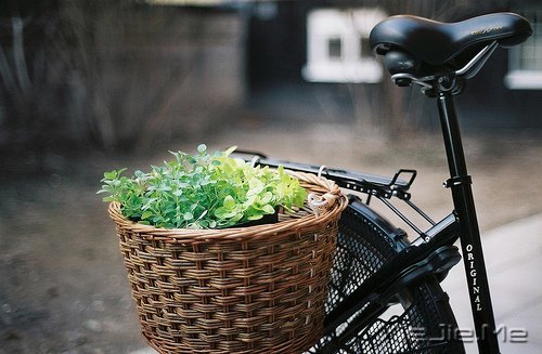 �簲����������Լ����ọ́���Ҫ��ɱ��� (5)