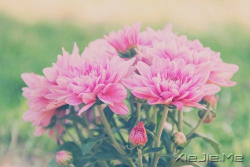 �簲������Լ����������ǣ������Ǳ��������еĿ��� (3)