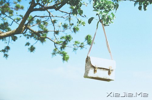 晚安心语:学最好的别人,做最好的自己 (1)