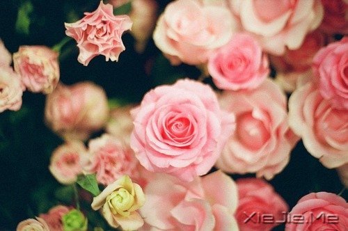 早安心语:收拾心情,重新上路 (4)