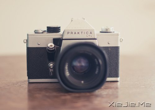 早安心语:时间会咬人,你不走就会满身伤痕 (9)