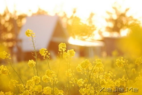 这山长水远的道路,终究是要自己走下去 (6)