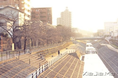 ���������õľ����������ǲ���˼������һ�� (3)