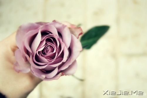 �簲���������������һ���˵����� (4)