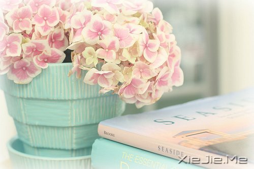 �������������������������� (3)