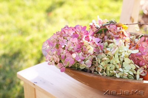 �������������������������� (7)