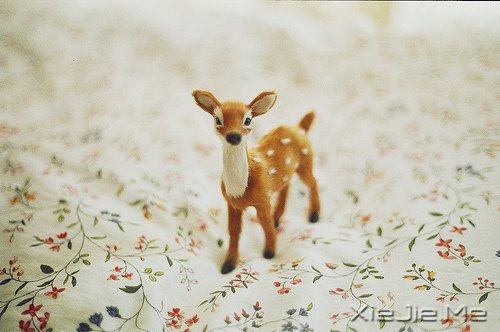 �ߵ���Ķ���������ʱ�� (2)