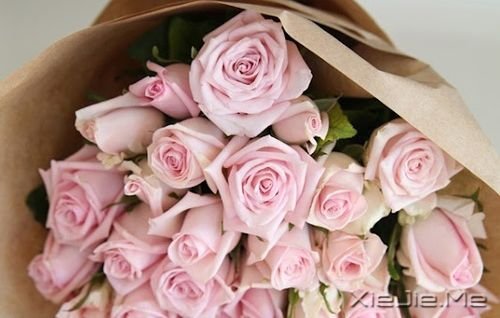 �簲����Ұ��Լ���û����� (10)