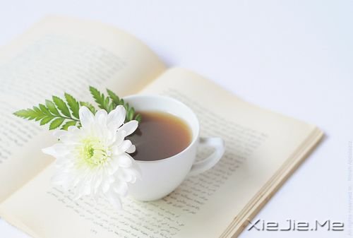 �簲����㿴����̫���ף�������ʧ�����µ����� (4)