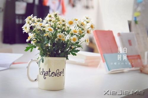 �簲����㿴����̫���ף�������ʧ�����µ����� (9)