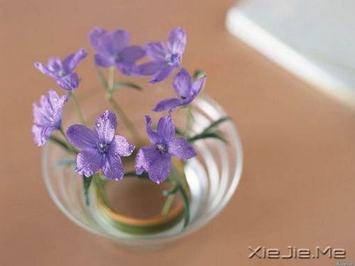 早安心语:有种信仰,叫做朝阳 (1)