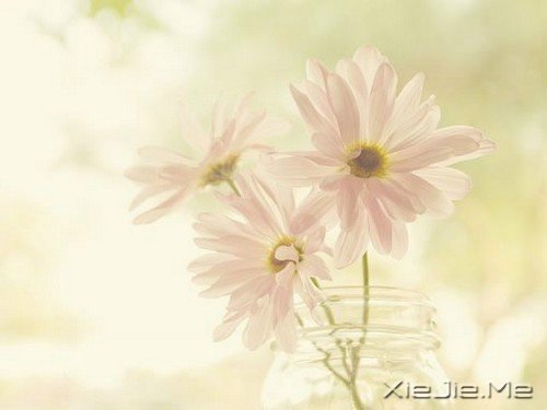 ���������Щ�£�ֻ���Լ��� (3)