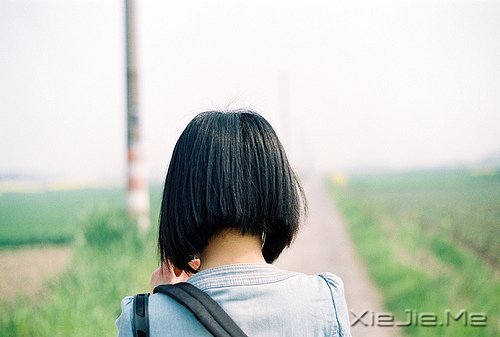 早安心语:如果我不这么在乎,生活会简单得多 (1)