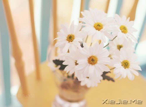 晚安心语:问心无愧,活着不累 (9)