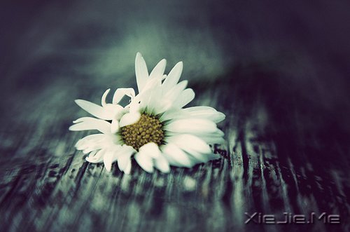 ��������¸����΢Ц��� (9)