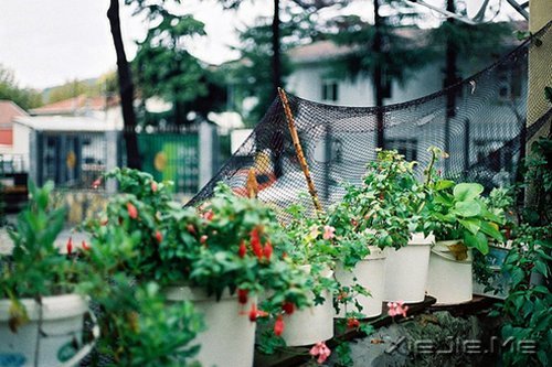 早安心语:安静,也是强大的力量 (7)