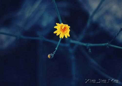 �簲����ɹ����ٶ�һ��Ҫ������ĸ��ȥ���ٶ� (6)