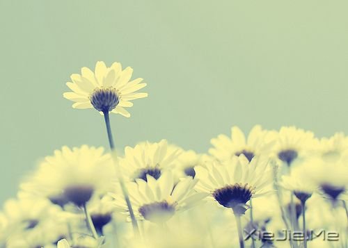 �簲���ֻҪ�����ߣ��ܻῴ������ (2)