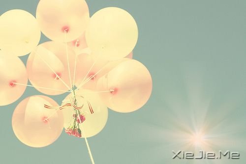 �簲��������Լ��ȶ������ˣ�����Ҫ (2)