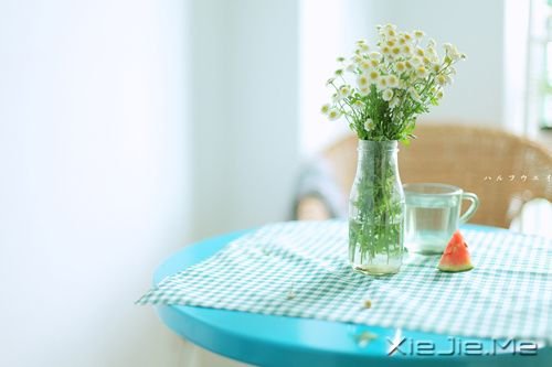 �簲�����Щ���������ң���Щ�����Կ��� (1)