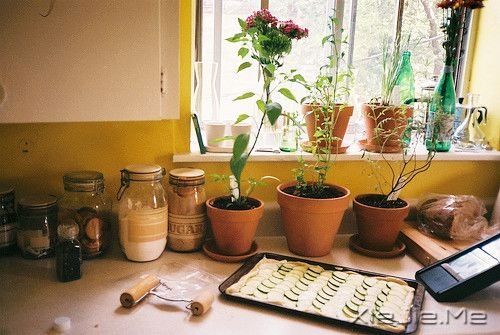 �簲�����Щ��ֻ�ʺ�˼�� (8)