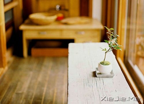 早安心语:幸福就像你身后的影子 (4)