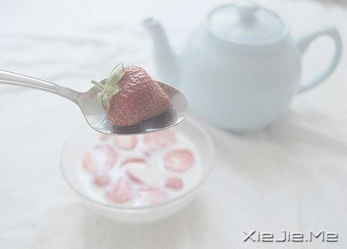 晚安心语:期待,是所有心痛的根源 (4)